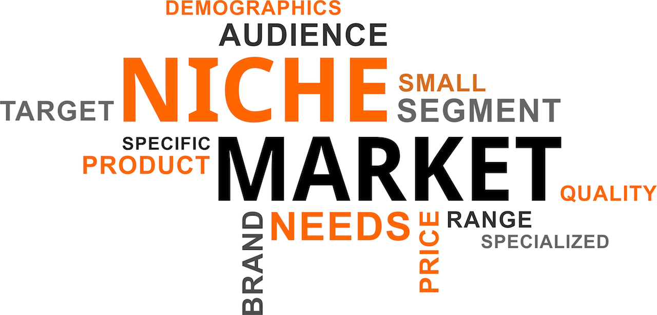 Demographics Audience 